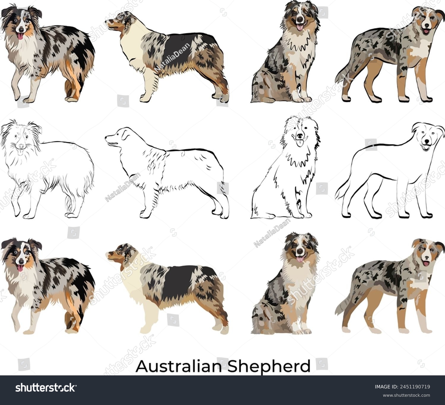 SVG of Australian Shepherd breed, Aussie Colors and Coat Patterns. Black stroke, drawing style, illustration with stroke. Black and tan, Tan point blue merle, Red merle, tri, bi, black, Blue merle. Contours. svg