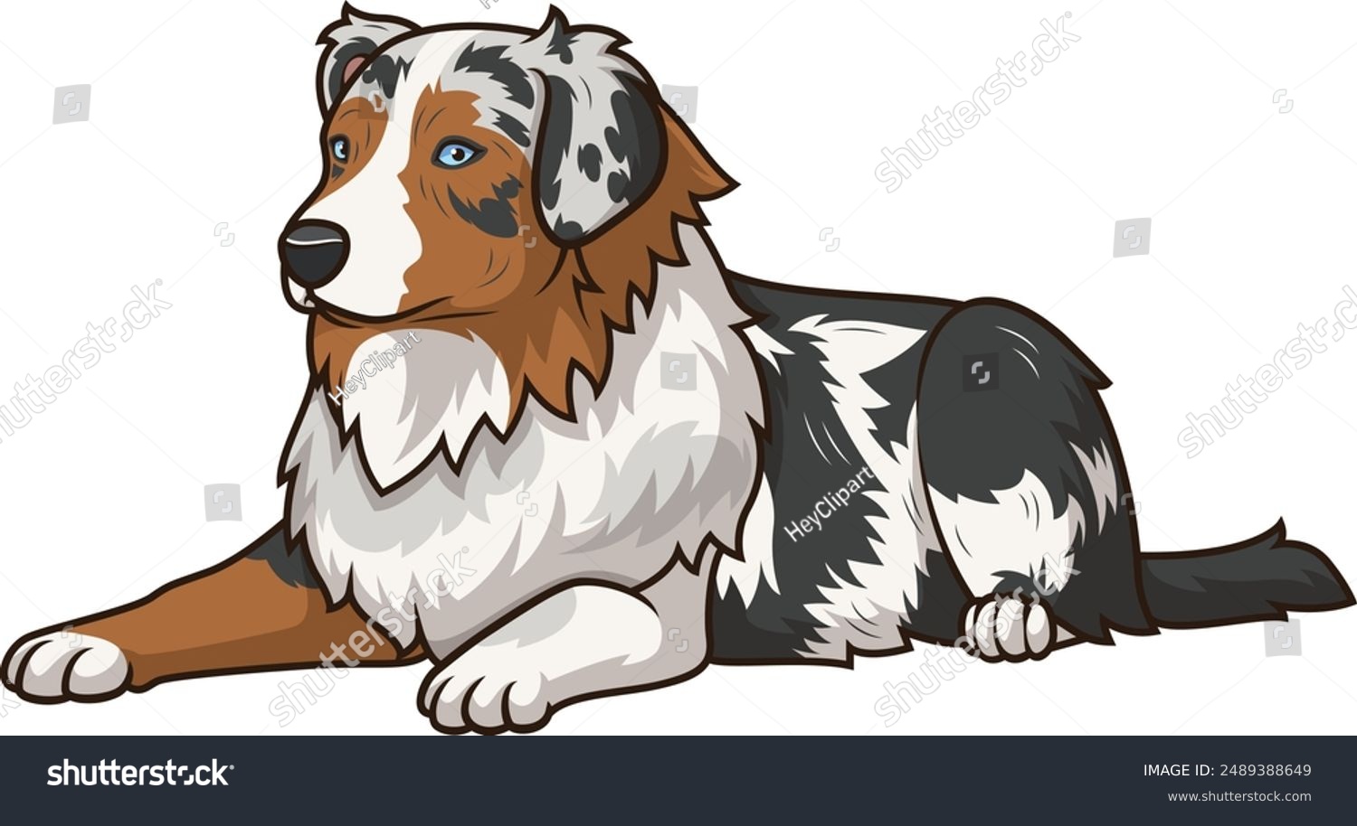 laying australian shepherd dog, brown, white, black clip art preview