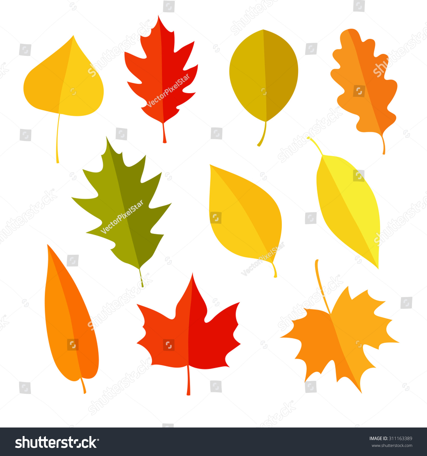 SVG of Autumn leaves set, isolated on white background. Simple cartoon flat style. Isolated vector illustration. Design for stickers, logo, web and mobile app. svg