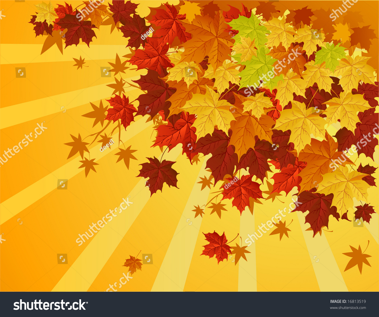 Autumn Maple Leaves Falling Down Stock Vector Illustration 16813519 ...