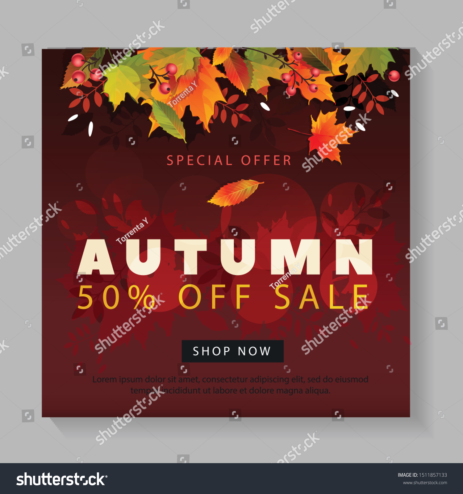 Autumn Sale Design Falling Leaves Lettering Stock Vector Royalty Free