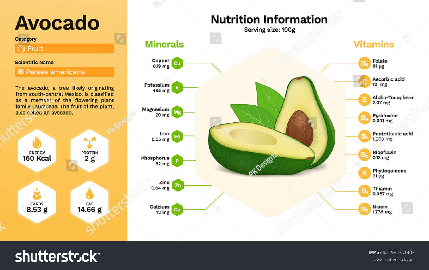 Avocado Nutritional Properties Vector Illustration Stock Vector ...