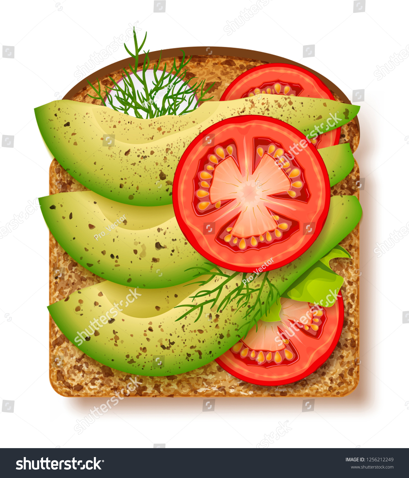 SVG of Avocado toast with fresh slices of ripe avocado, seasoning and dill, tomato and radish. Delicious avocado sandwich. Vector illustration svg