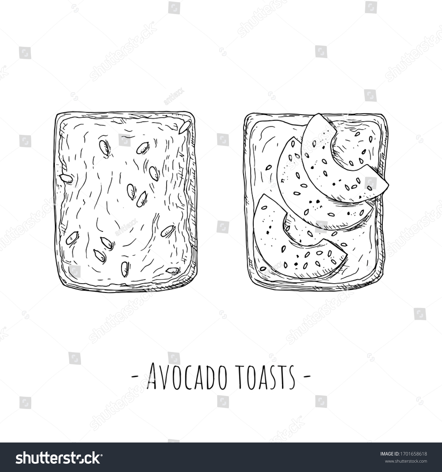 SVG of Avocado toasts. Top view. Hand-drawn style. Isolated objects on a white background. Vector cartoon illustrations. svg