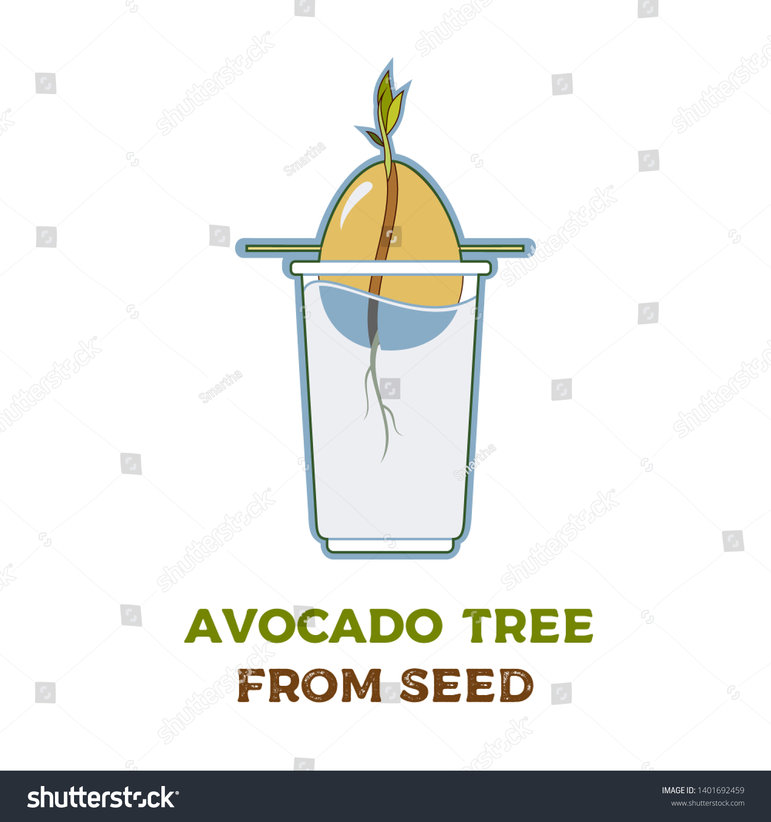 Avocado Tree Vector Growing Guide Poster Stock Vector (Royalty Free ...