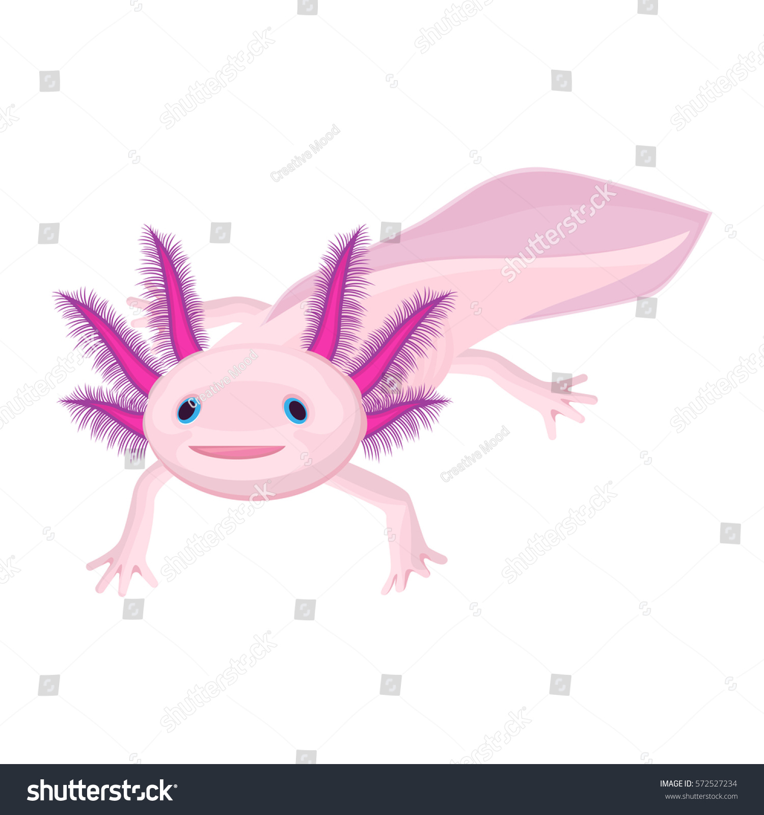 SVG of Axolotl pink isolated with four legs on white.  svg