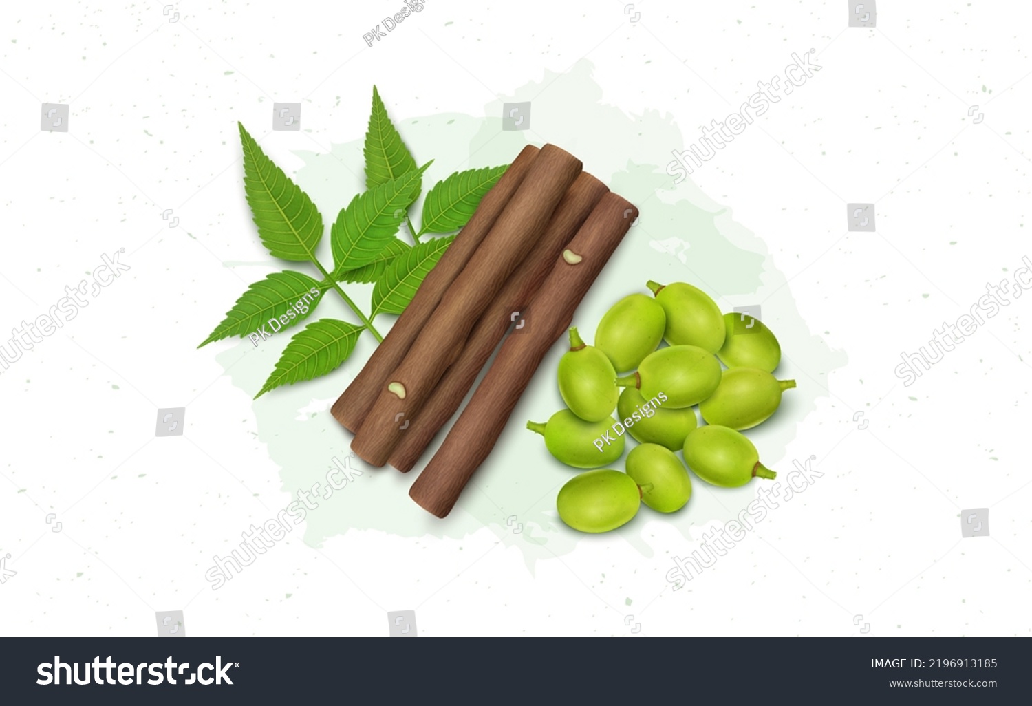 SVG of Ayurvedic Neem tree fruits with neem leaves and Neem Chew Sticks vector illustration svg
