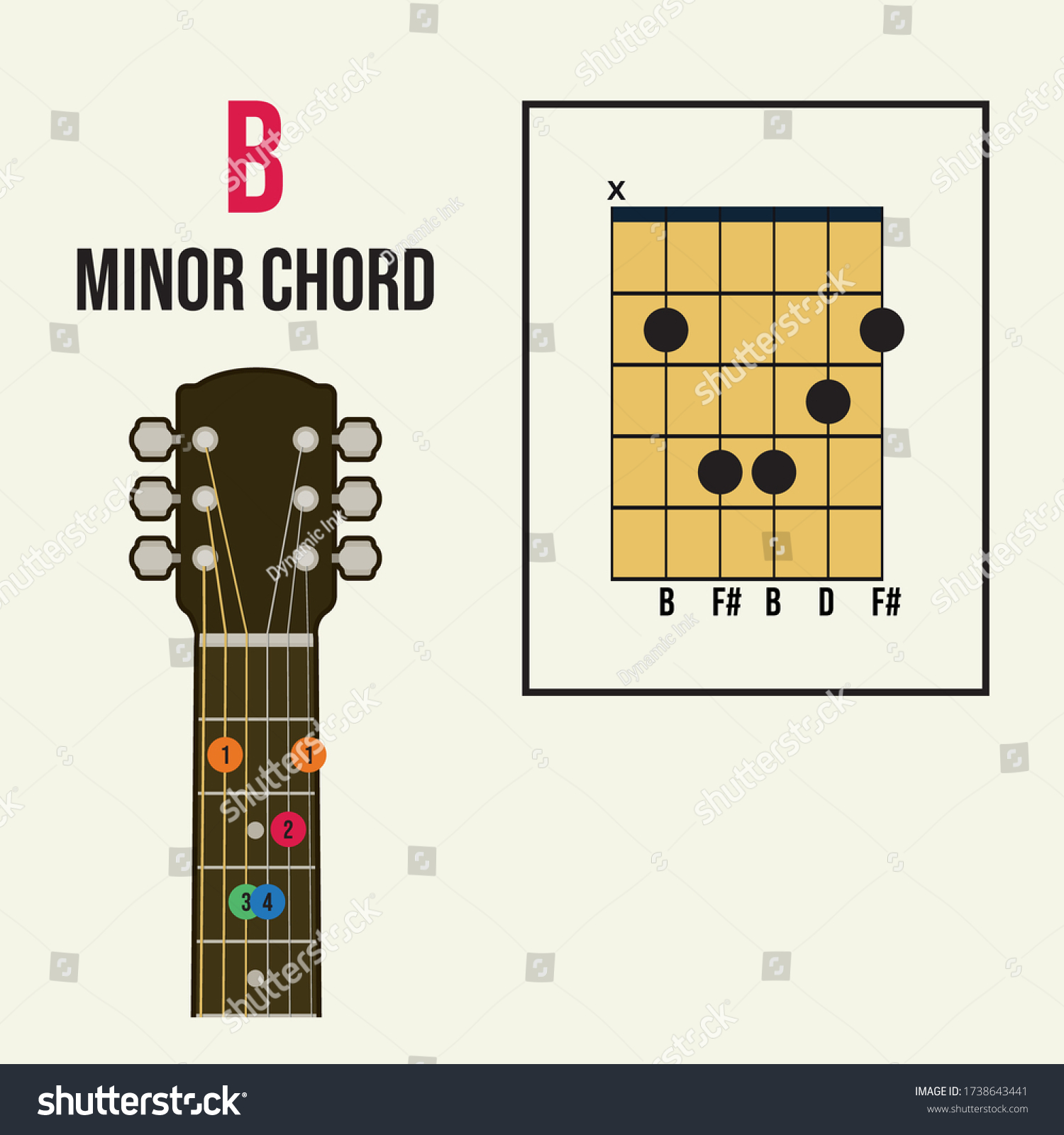 B Minor Chord Guitar Beginners Vector Stock Vector (Royalty Free ...