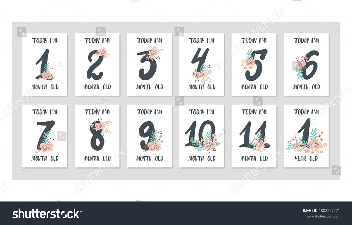 monthly cards photo cards Floral Milestone banner floral birthday