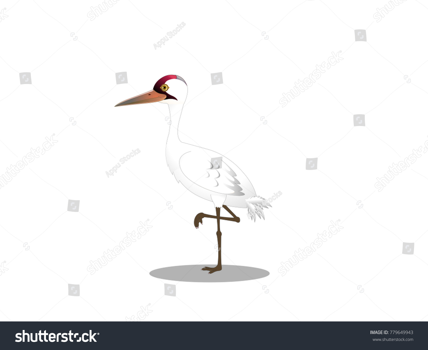 Baby Whooping Crane Cartoon Vector Image Stock Vector (Royalty Free ...