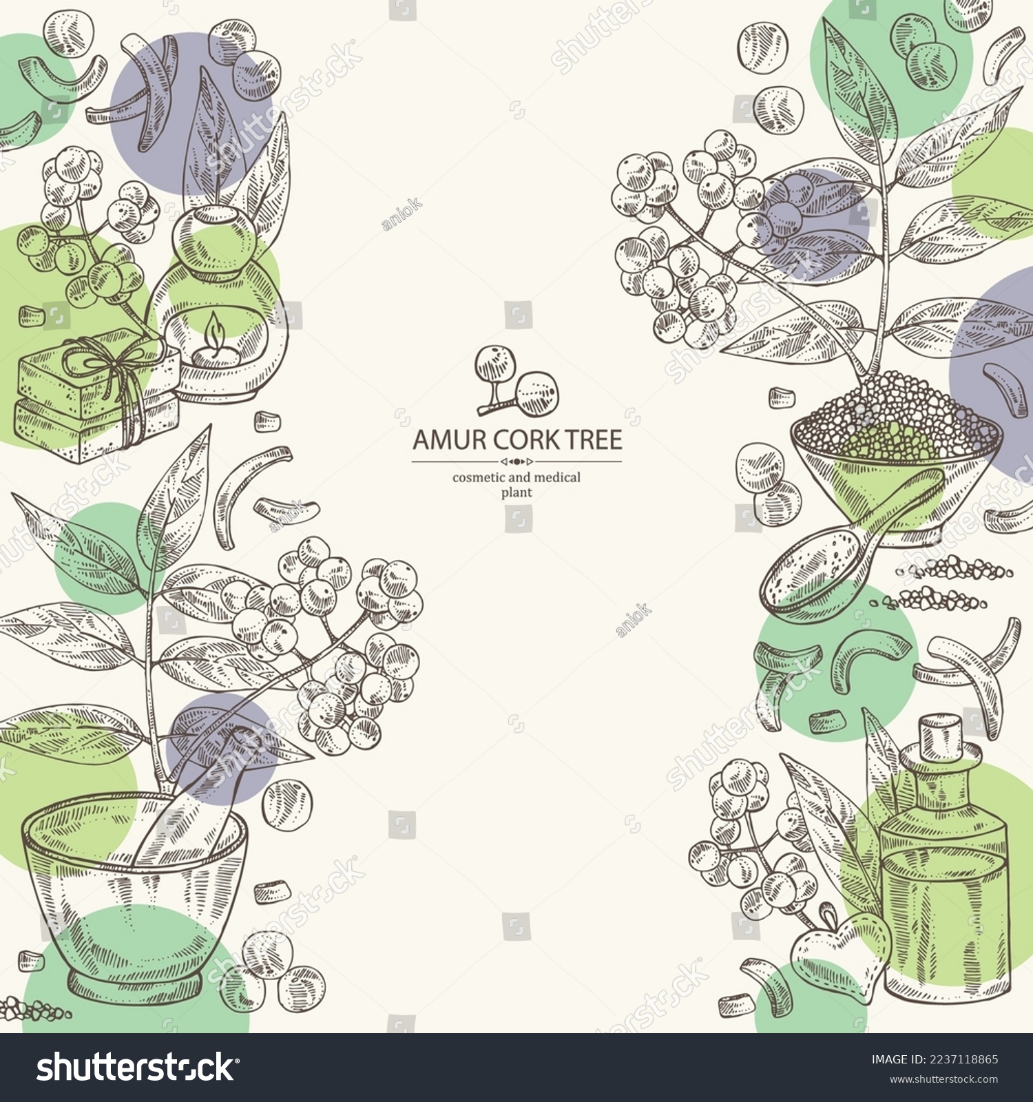 SVG of Background with  amur cork tree: amur cork berries, plant and amur cork tree bark. Phellodendron amurense. Oil, soap and bath salt . Cosmetics and medical plant. Vector hand drawn illustrat svg