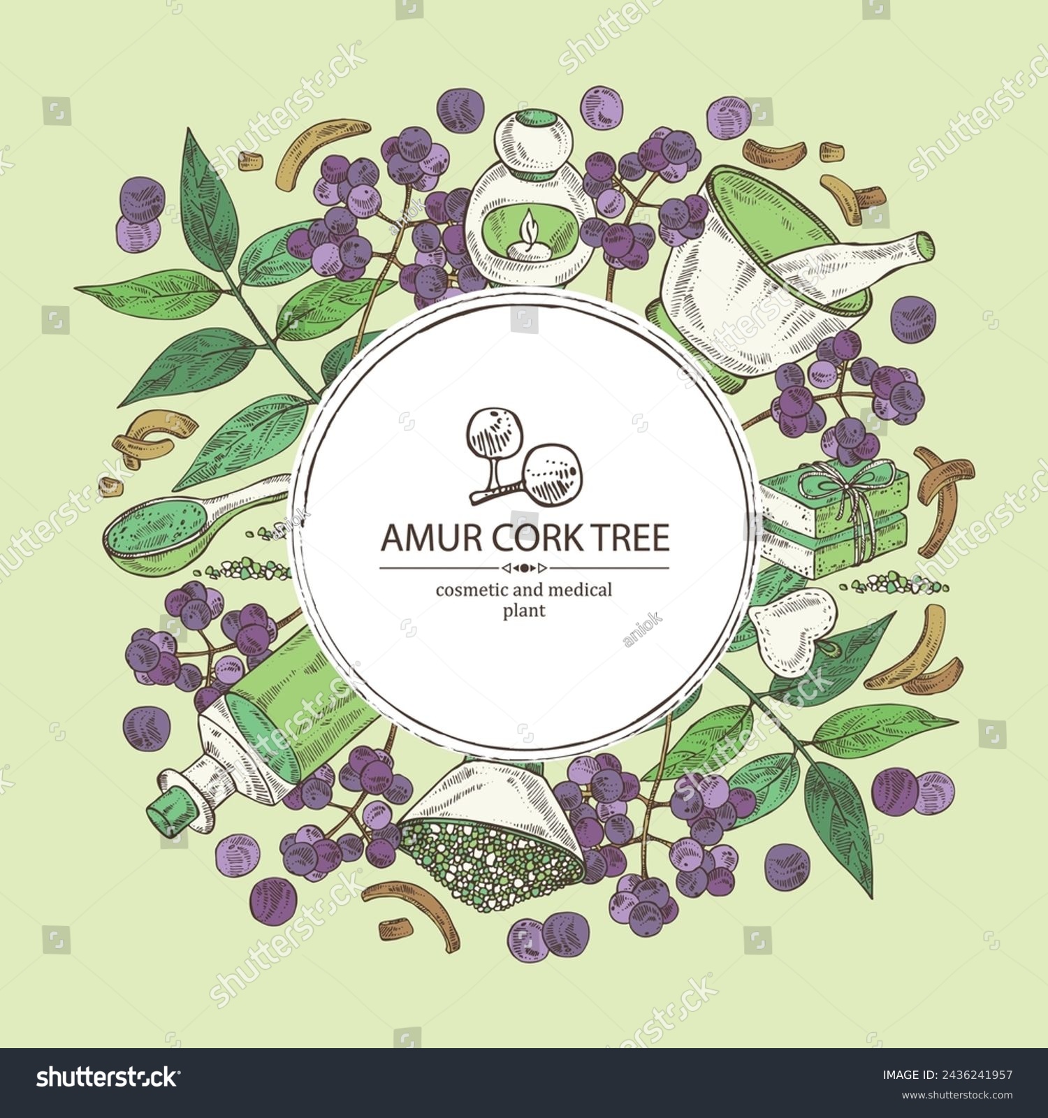 SVG of Background with  amur cork tree: amur cork berries, plant and amur cork tree bark. Phellodendron amurense. Oil, soap and bath salt . Cosmetics and medical plant. Vector hand drawn illustrat svg