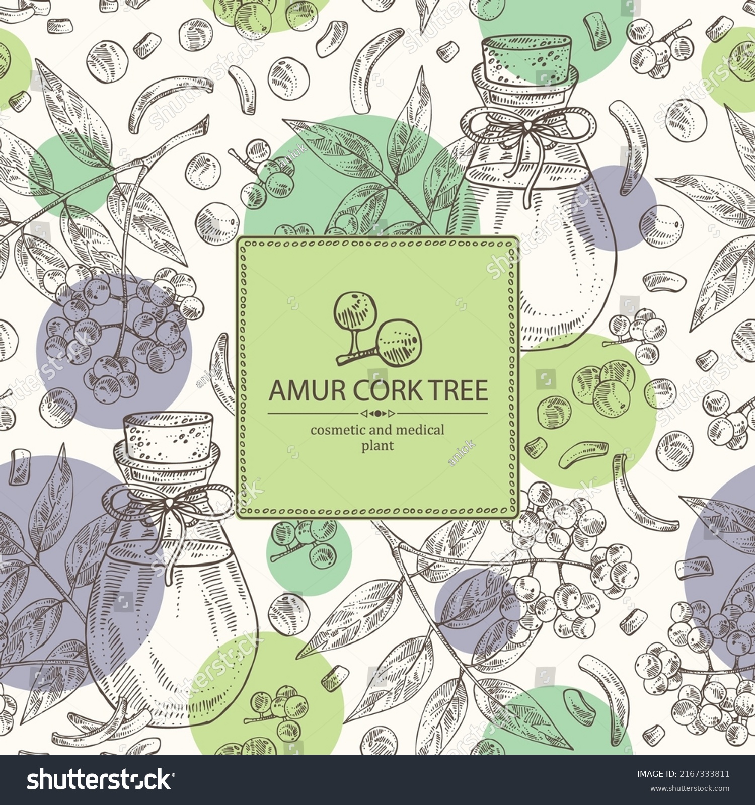 SVG of Background with amur cork tree: berries, plant, amur cork tree bark and bottle of amur cork tree oil. Phellodendron amurense.  Cosmetic, perfumery and medical plant. svg