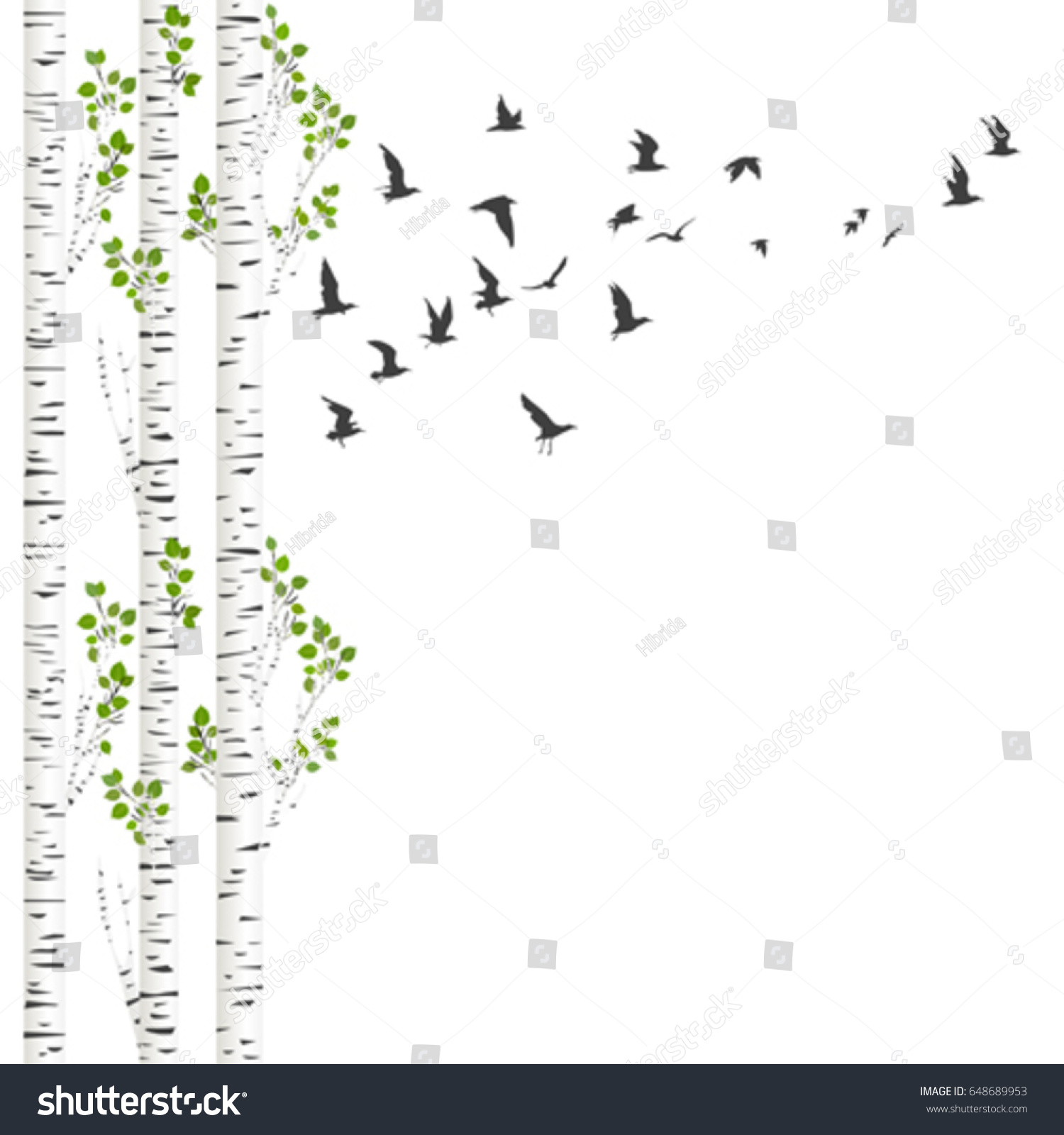 SVG of Background with birch trees and birds flying svg