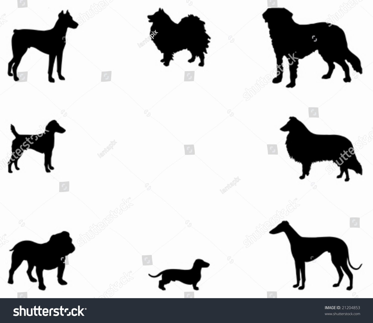 Background Dogs Stock Vector 21204853 Shutterstock