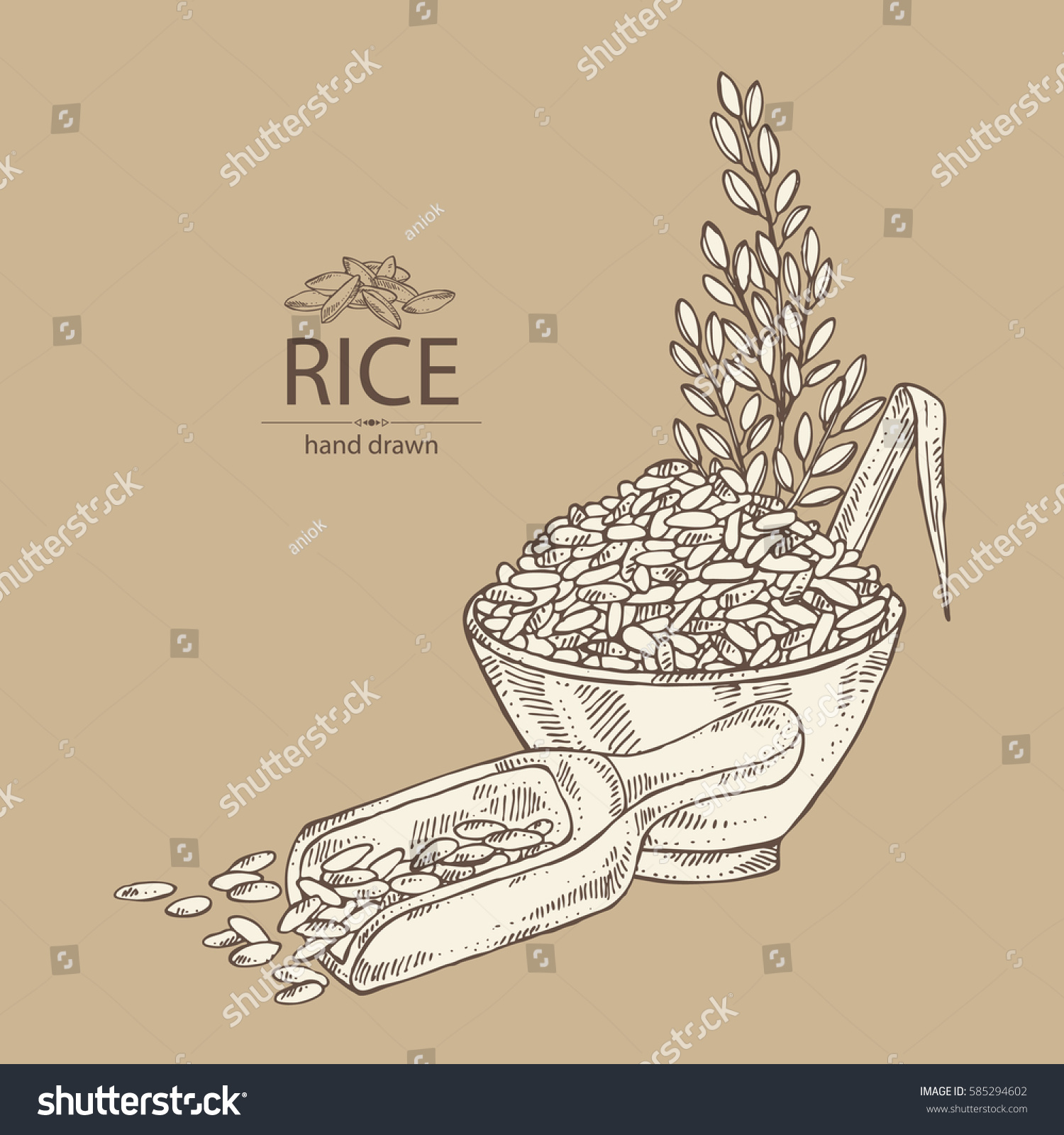 Background Rice Plate Rice Hand Drawn Stock Vector (Royalty Free) 585294602