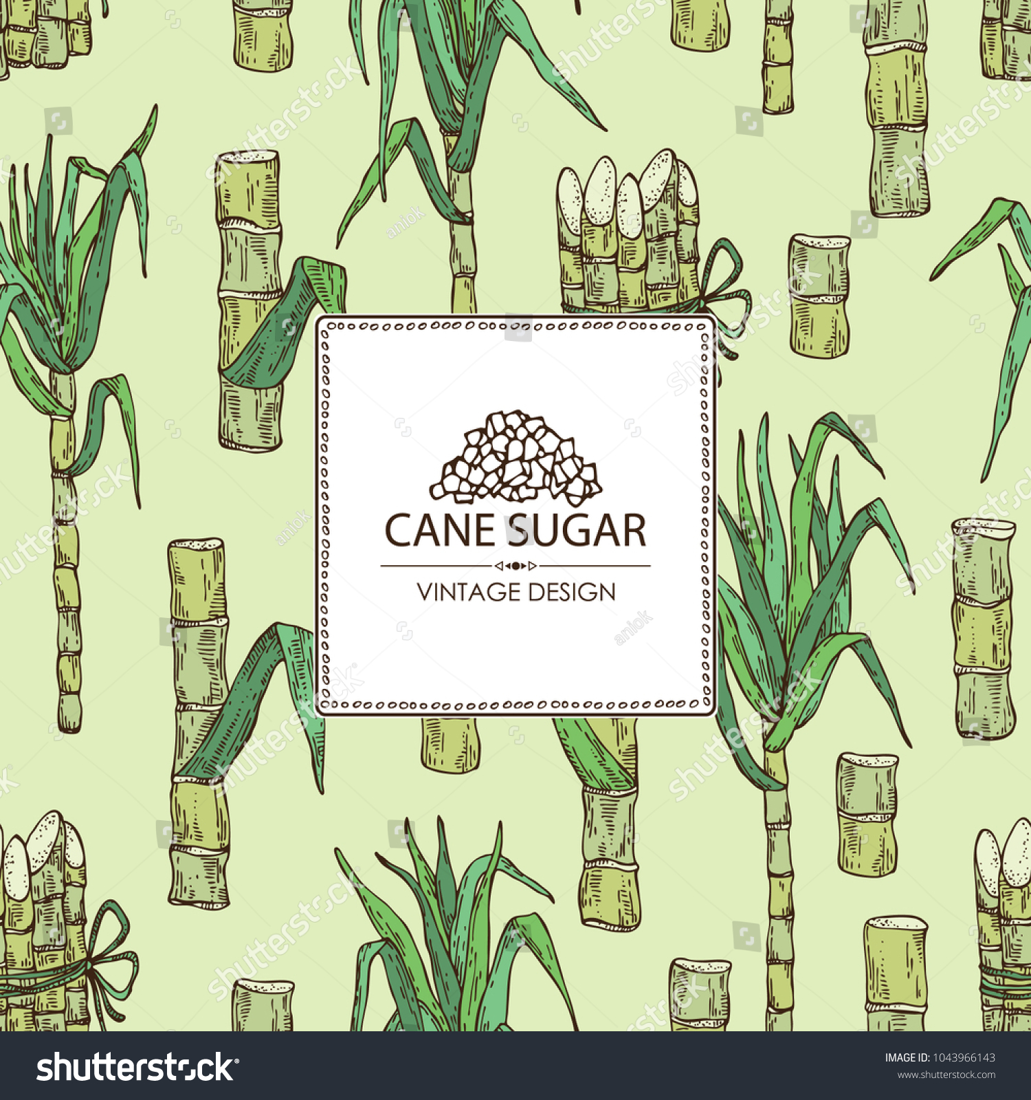 Background Sugarcane Cane Sugar Sugarcane Vector Vector De Stock Libre De Regalías 1043966143 