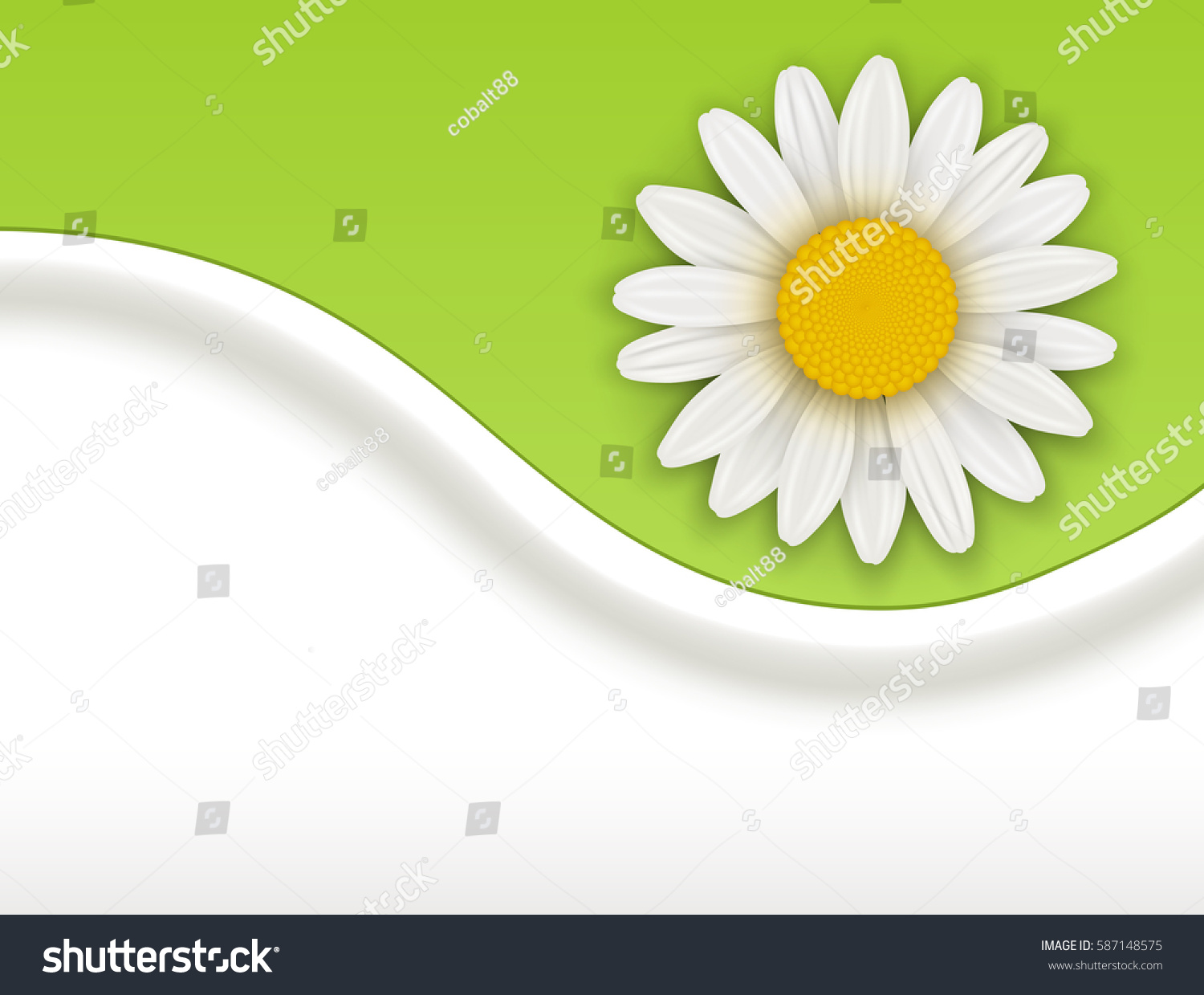 Background White Spring Flower Vector Illustration Stock Vector ...