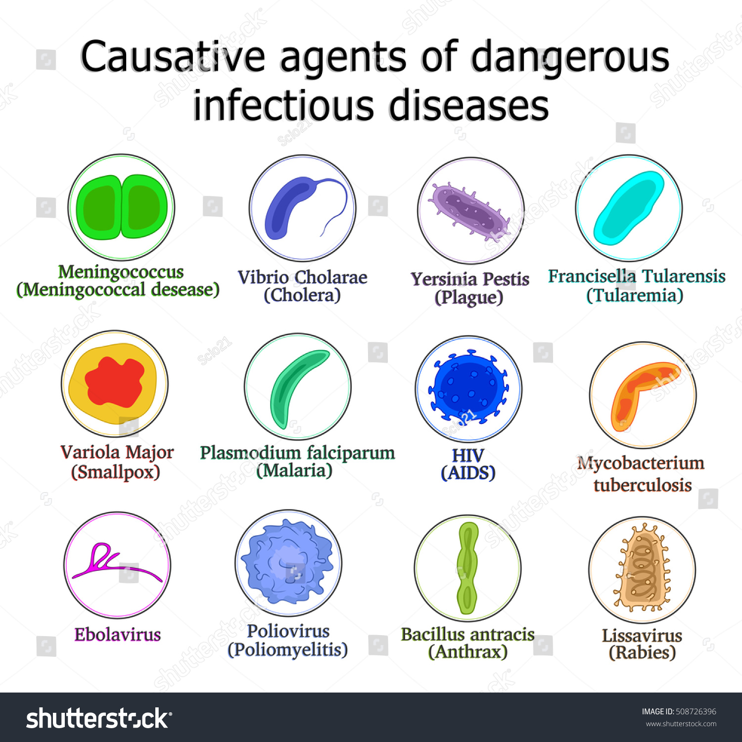 Bacteria Viruses Defiant Dangerous Infectious Diseases Stock Vector 508726396 Shutterstock