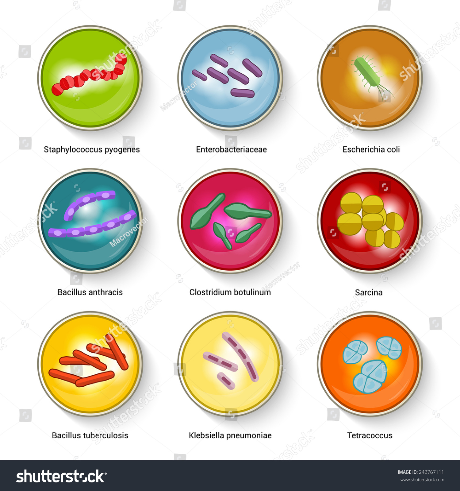 Bacteria Virus Bio-Hazard Microorganism Allergens And Microscopic Cells ...