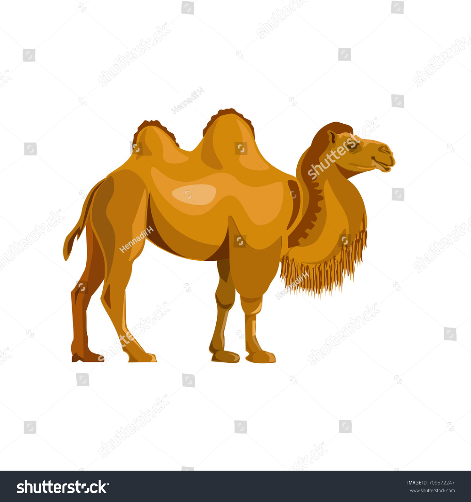 Bactrian Camel Vector Illustration Isolated On Stock Vector Royalty