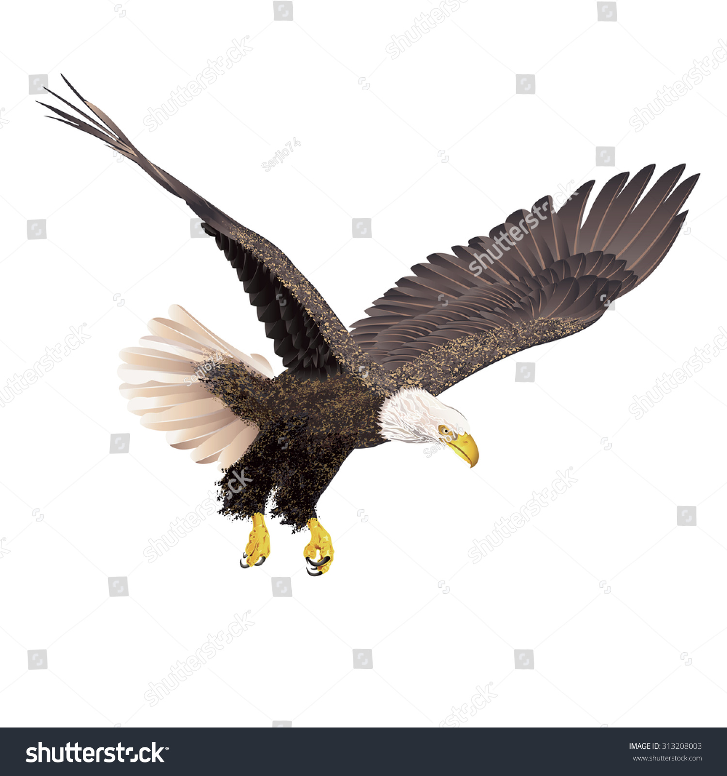 Bald Eagle Isolated On White Background Stock Vector (Royalty Free