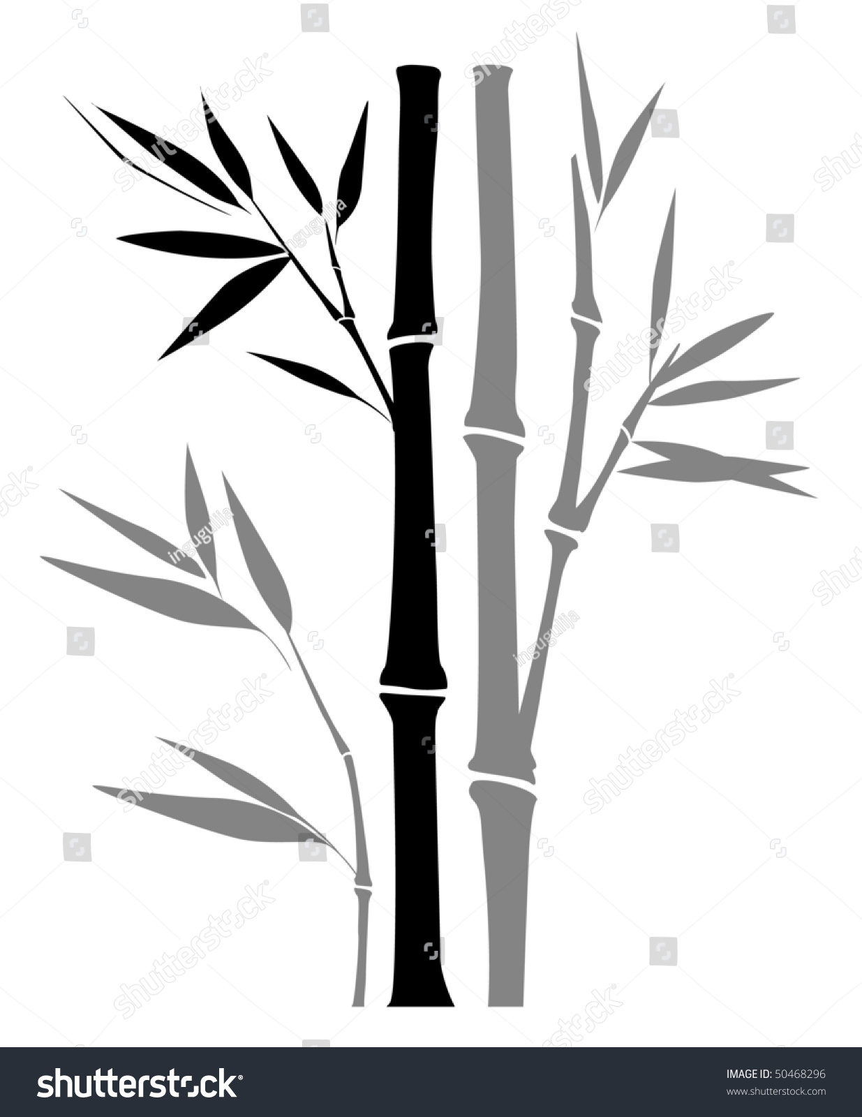 Bamboo Stock Vector 50468296 - Shutterstock