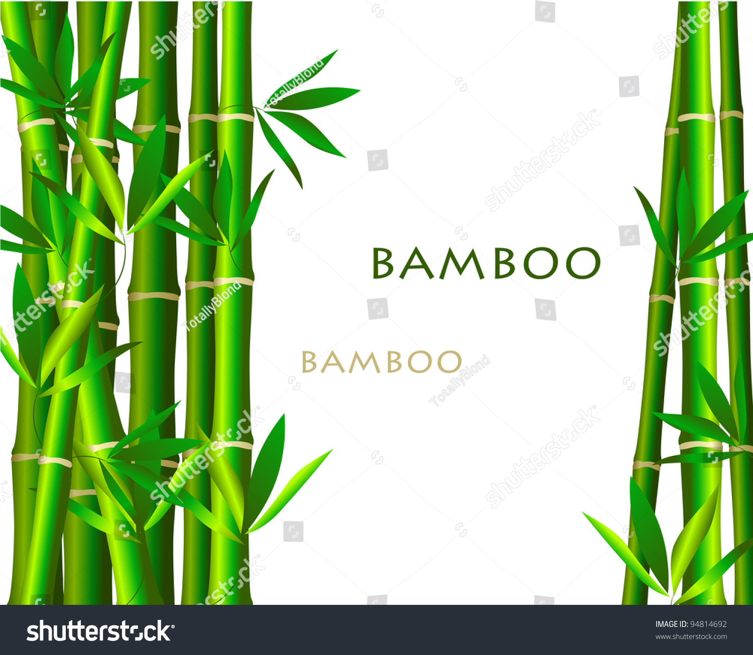 Bamboo Isolated On White Background Stock Vector Illustration 94814692 ...
