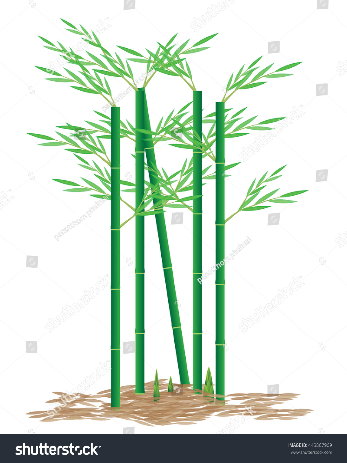 Bamboo Plant Vector Design Stock Vector (Royalty Free) 445867969