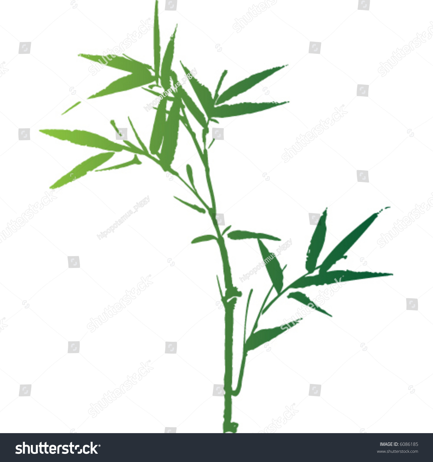 green bamboo plant on white background clip art preview