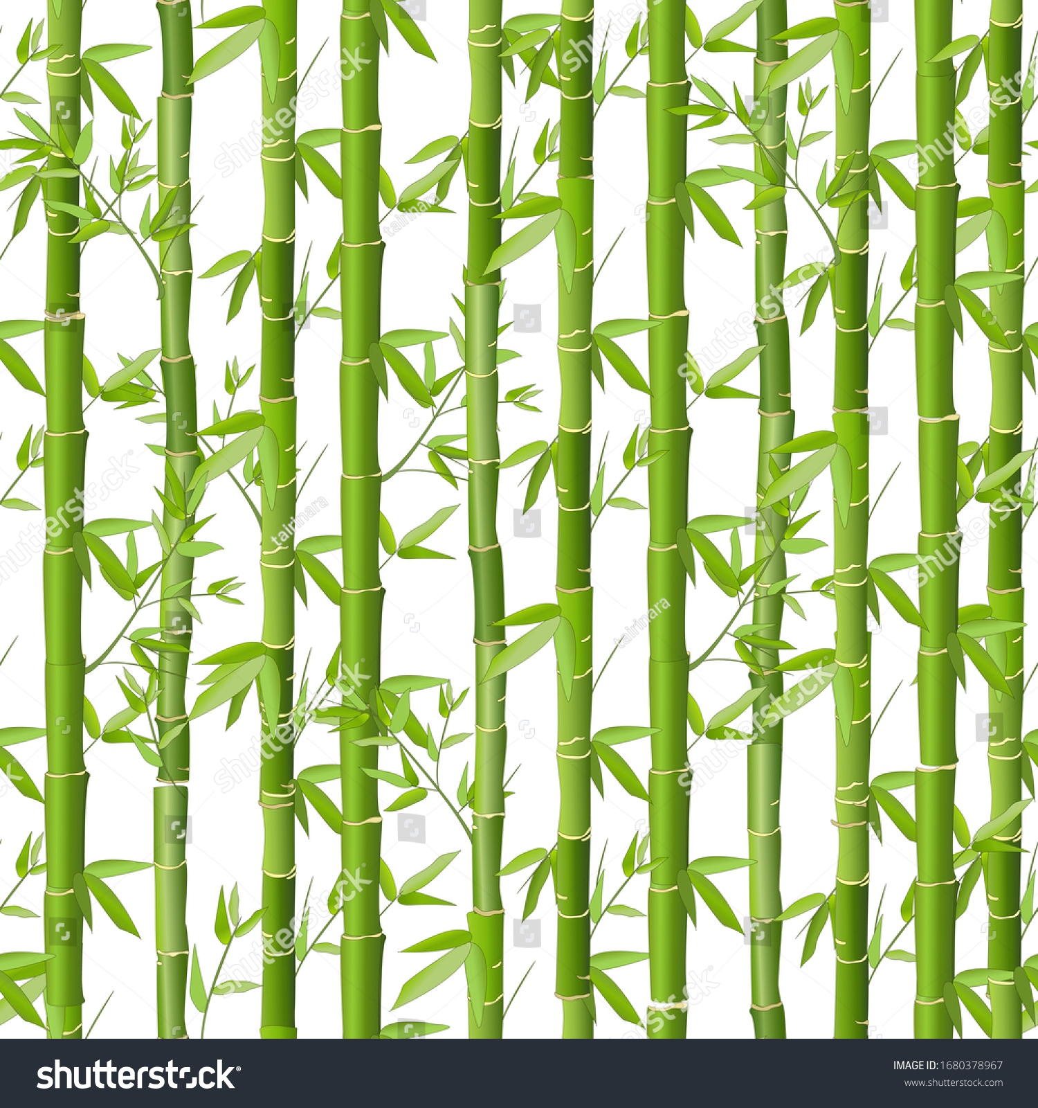 Bamboo Vector Seamless Pattern Green Bamboo Stock Vector Royalty Free