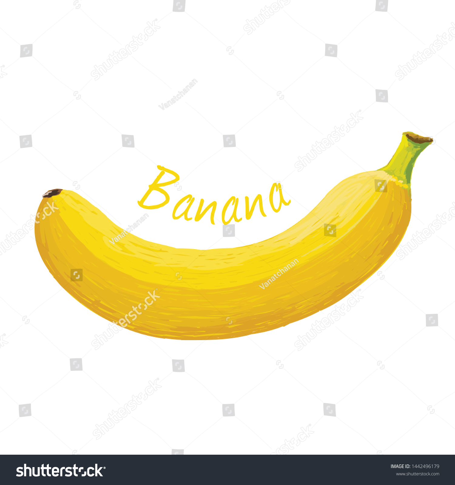 Banana Fruit Doodle Drawings Vector Illustration Stock Vector Royalty Free