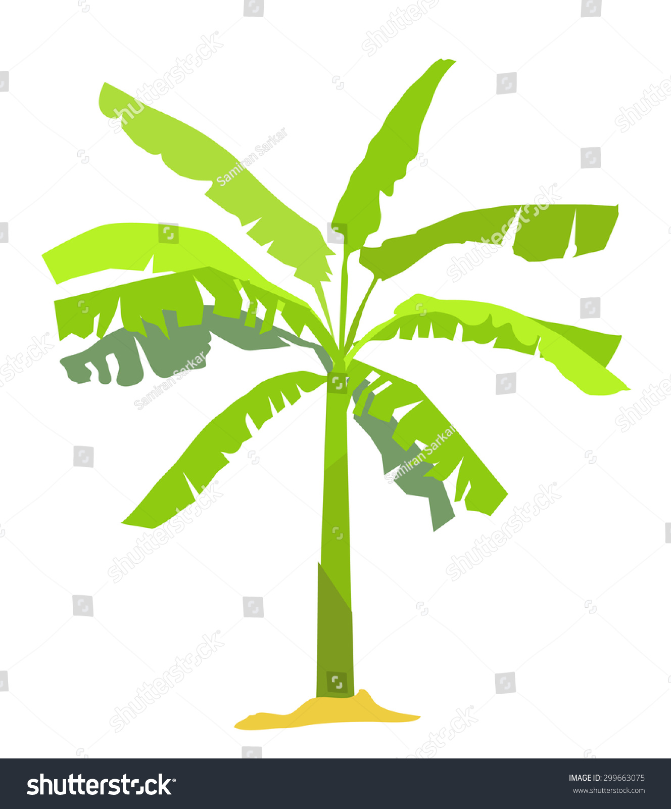 Banana Tree Stock Vector 299663075 - Shutterstock