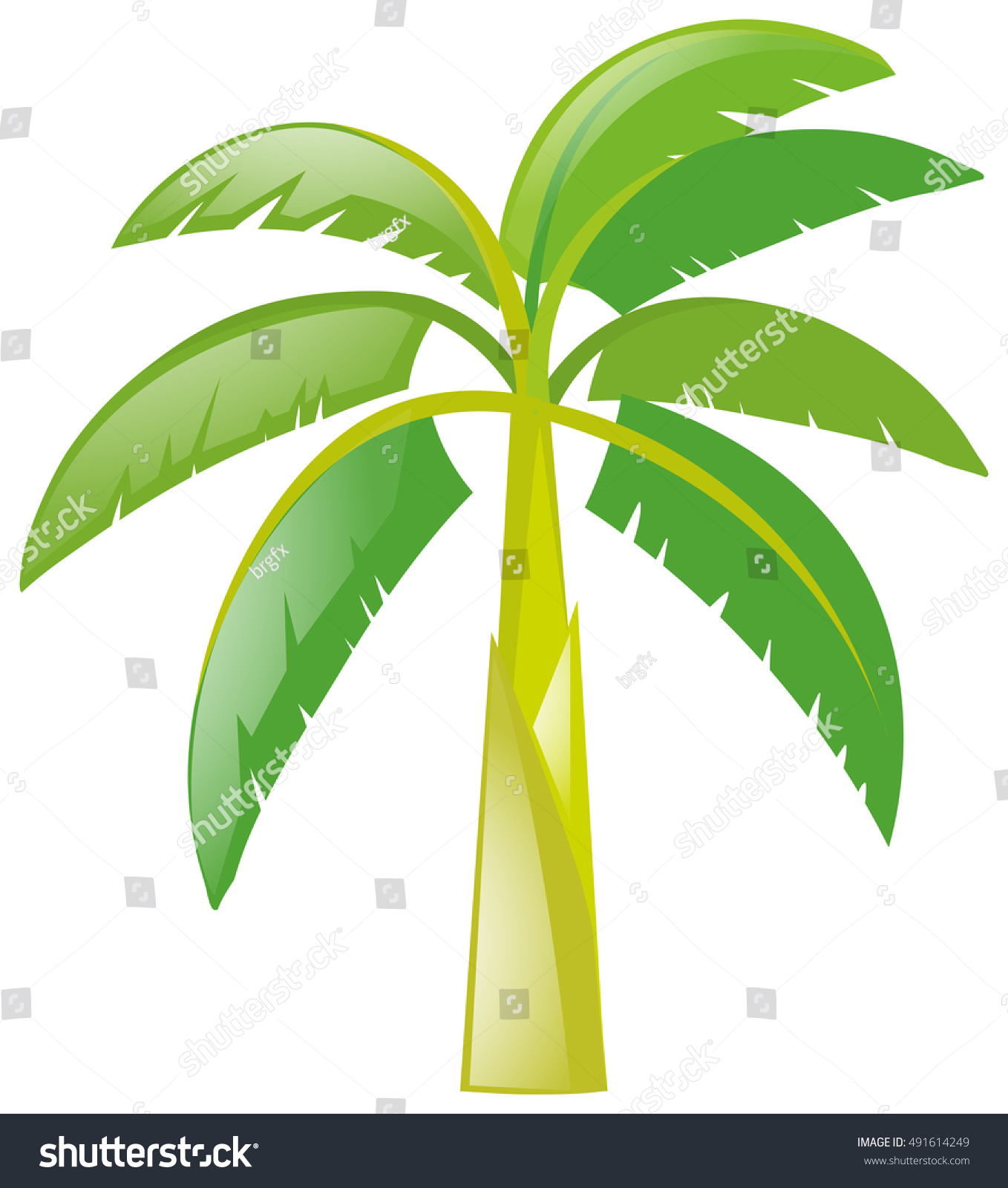 Banana Tree On White Background Illustration Stock Vector 491614249