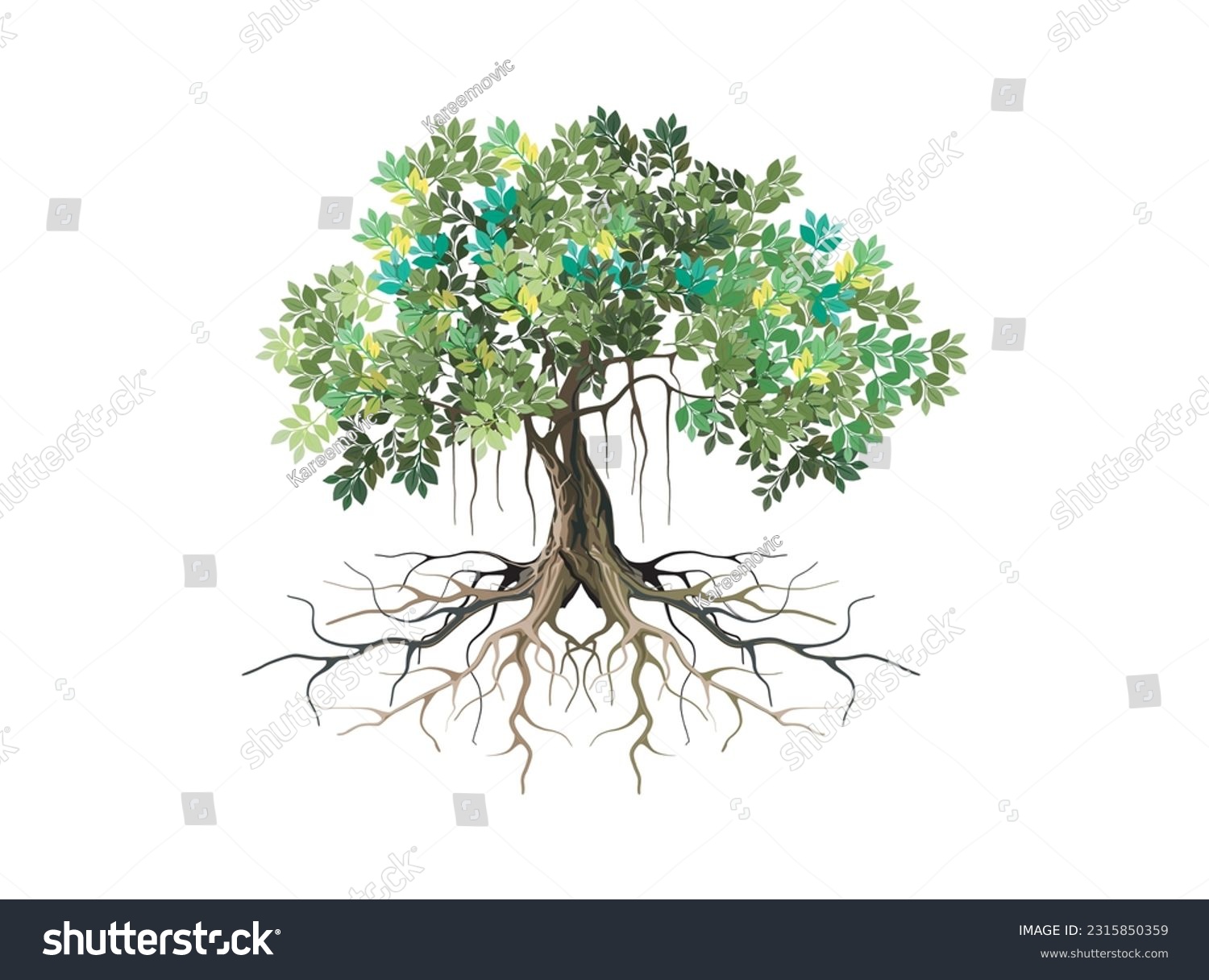 SVG of banyan tree and roots illustration vector svg
