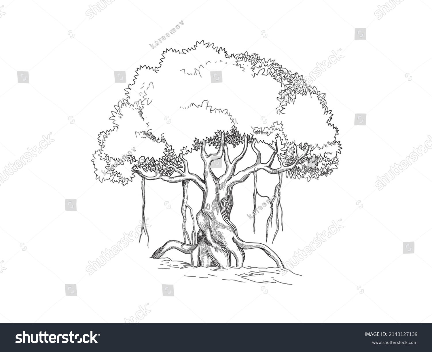 SVG of banyan tree line art hand drawing style. vector isolated. svg