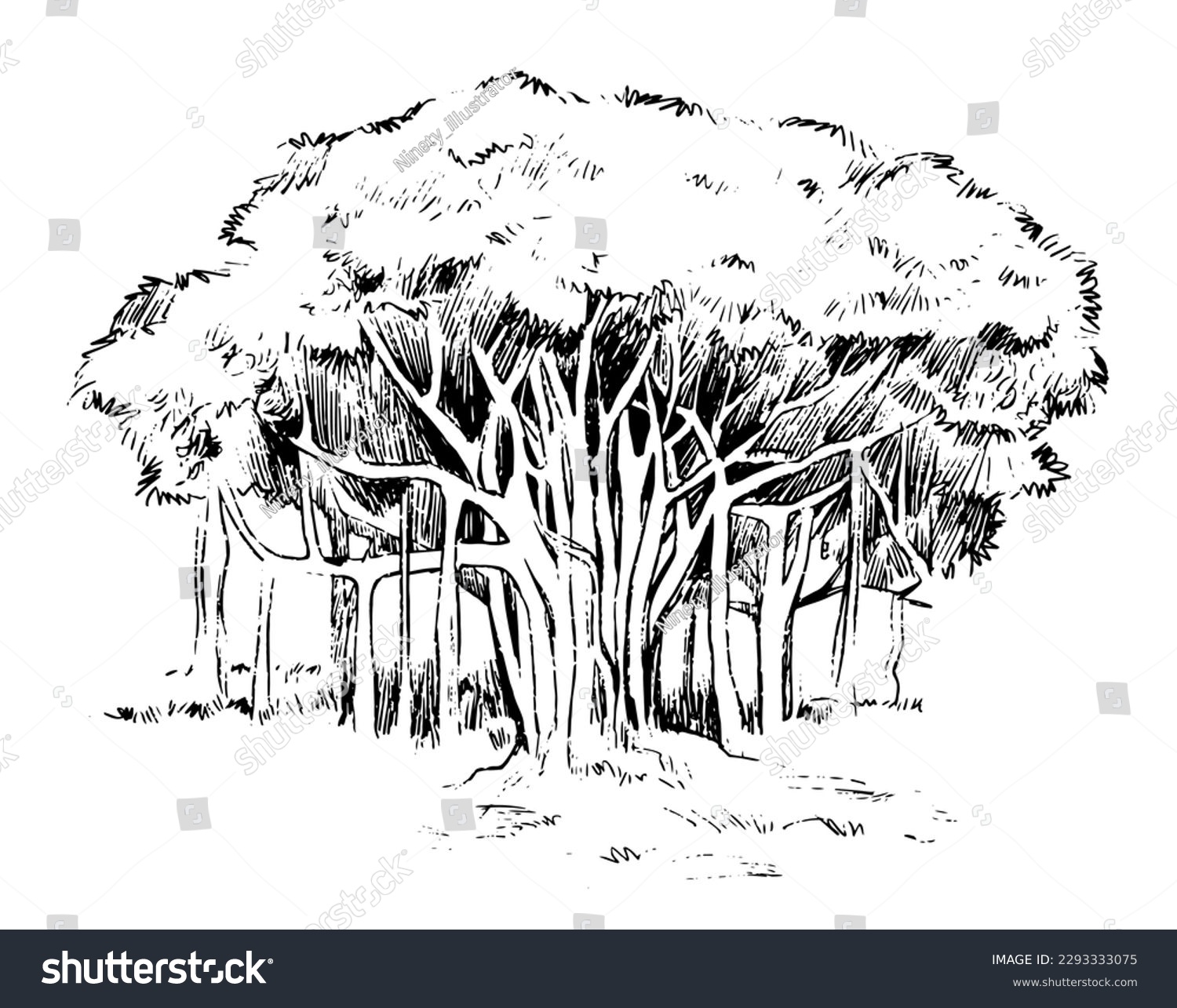 SVG of Banyan tree line art hand drawing style. vector isolated. svg