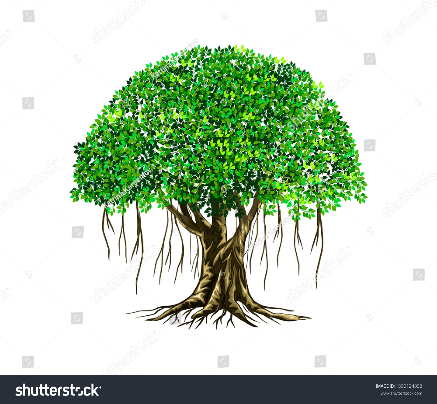SVG of Banyan tree vector illustration. roots of banyan tree.  svg