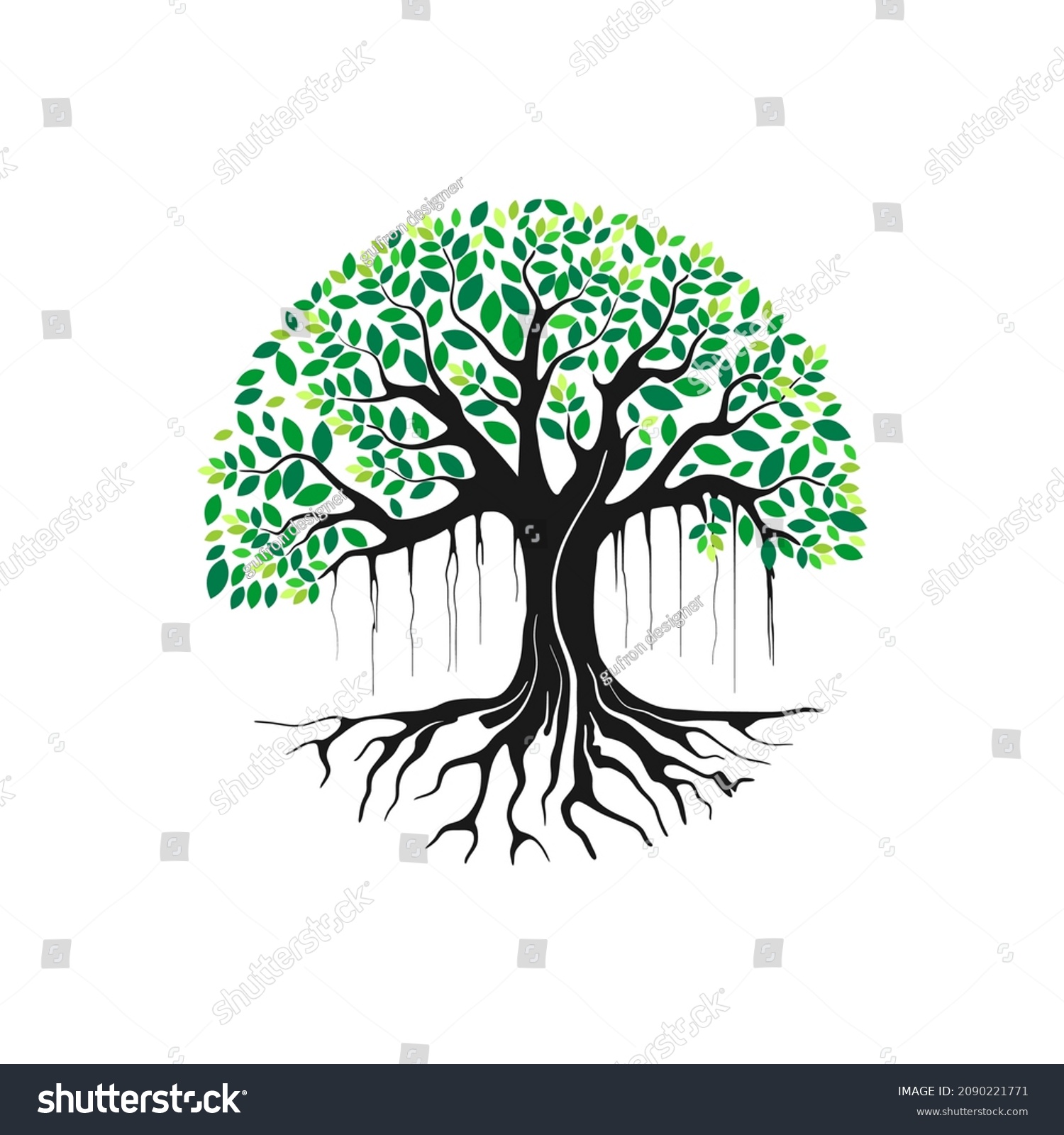 SVG of Banyan tree vector illustration. roots of banyan tree. svg