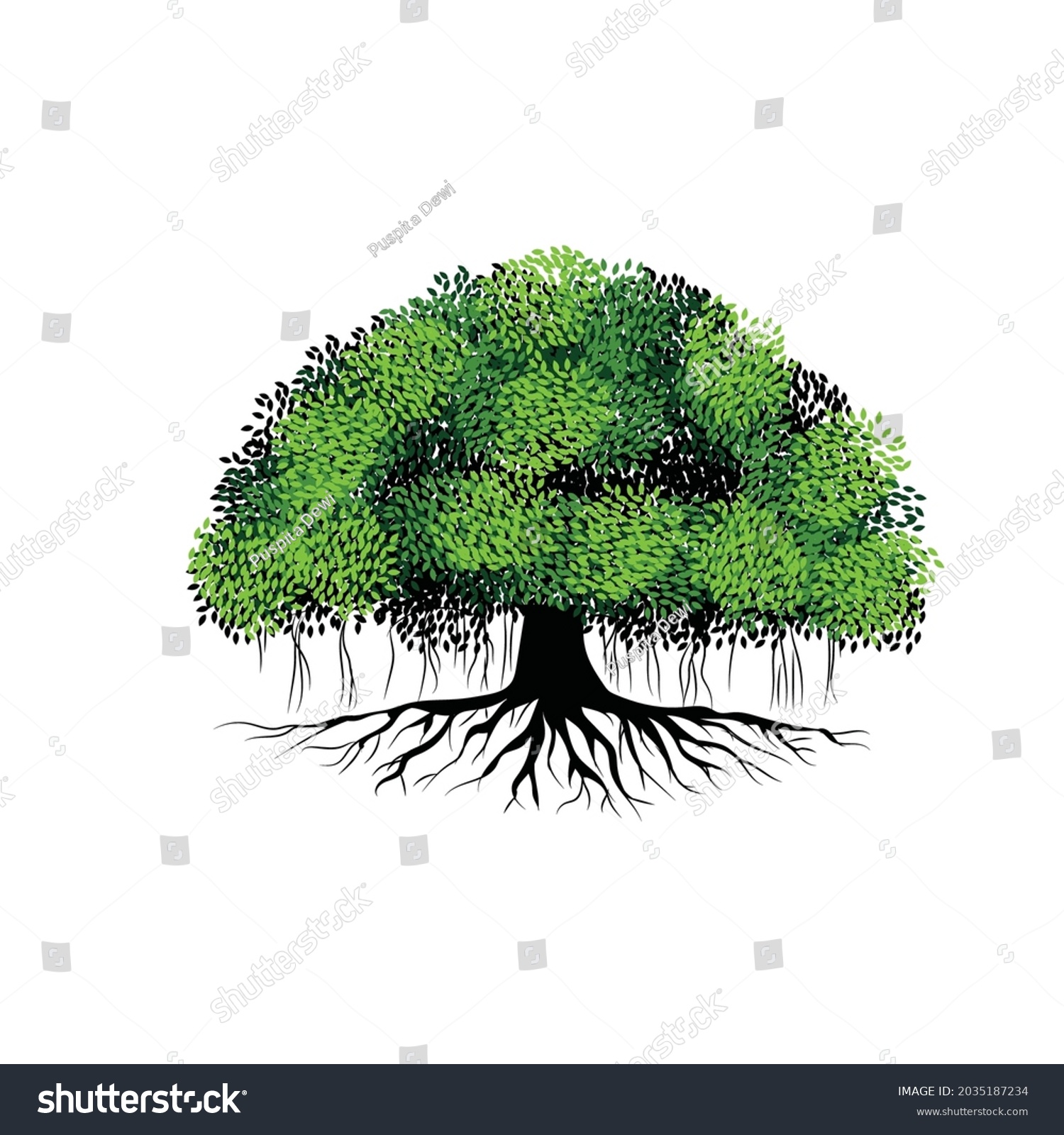 SVG of banyan tree vector illustration, tree with leaves and roots svg