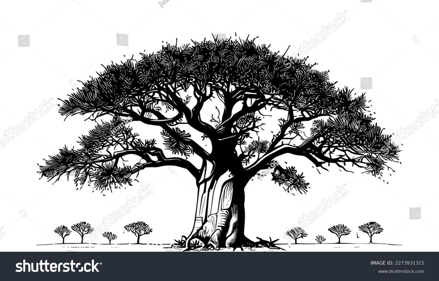 SVG of Baobab tree vector black line illustration isolated white. Sketch art svg