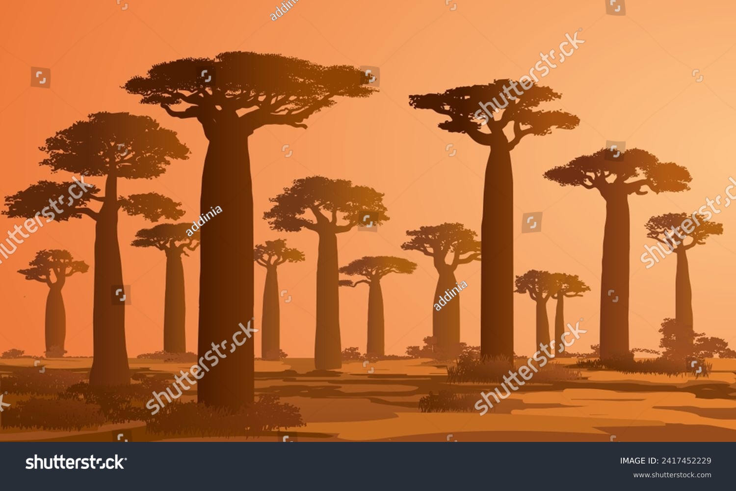 SVG of Baobab Trees at the evening, Madagascar Nature, eps svg