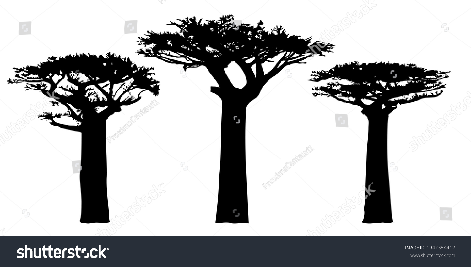 SVG of Baobab trees silhouette. Angola national tree symbol. Baobabs outlines. Black shapes on a white background. Vector. svg