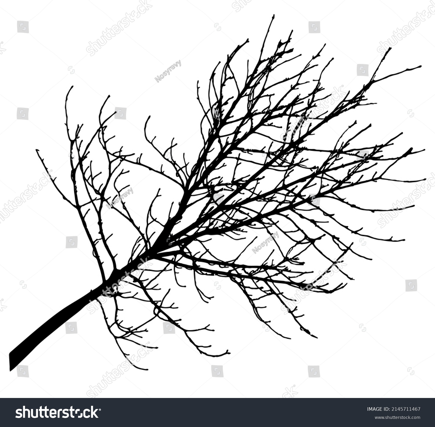 Bare Branch Tree Silhouette Vector Illustration Stock Vector (Royalty ...