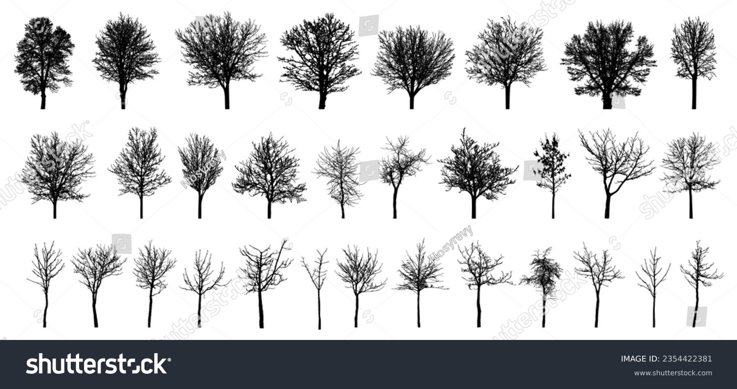 SVG of Bare deciduous trees silhouette, set. Beautiful different leafless trees.  Vector illustration svg