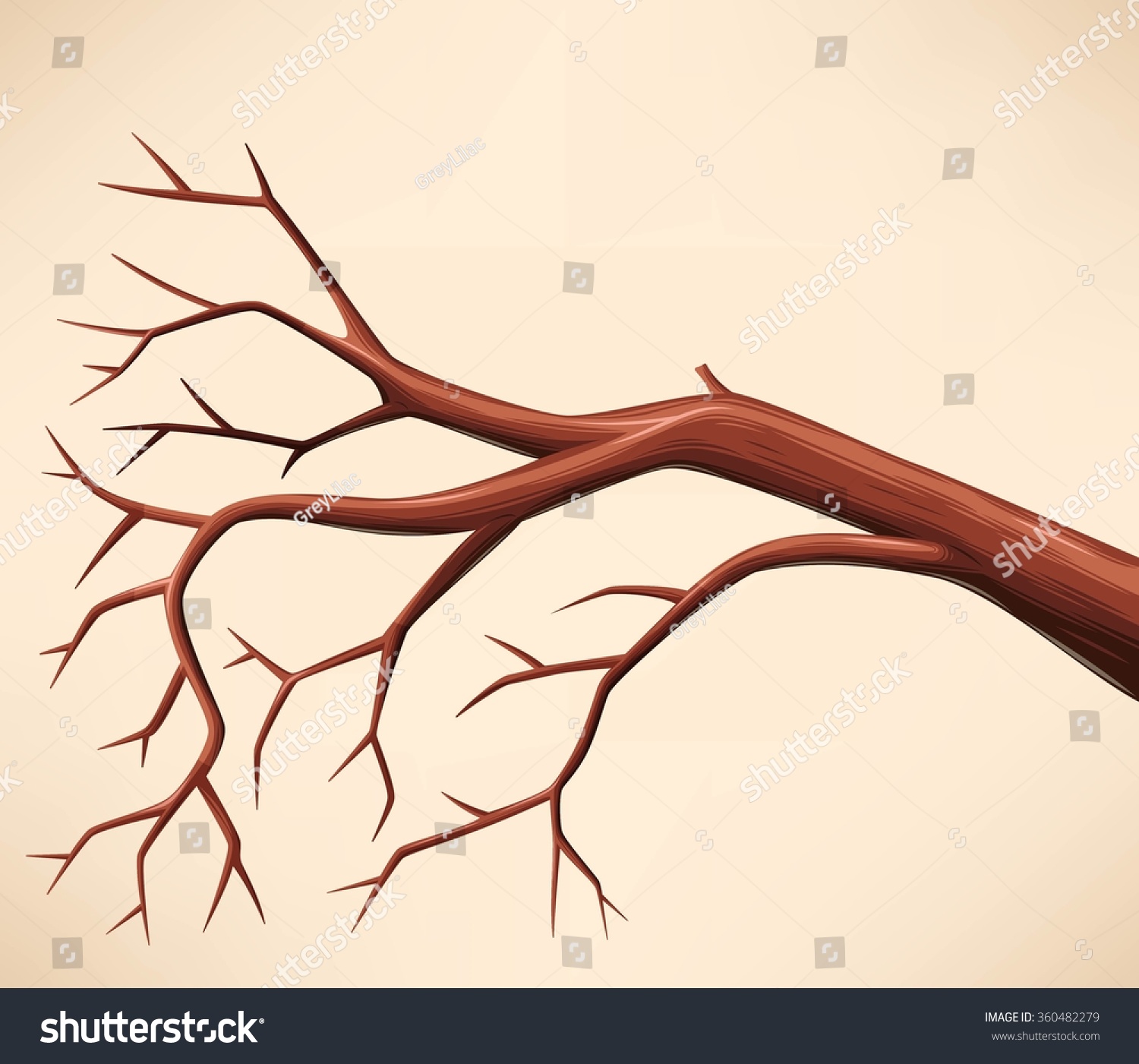 Bare Tree Branch Stock Vector 360482279 - Shutterstock