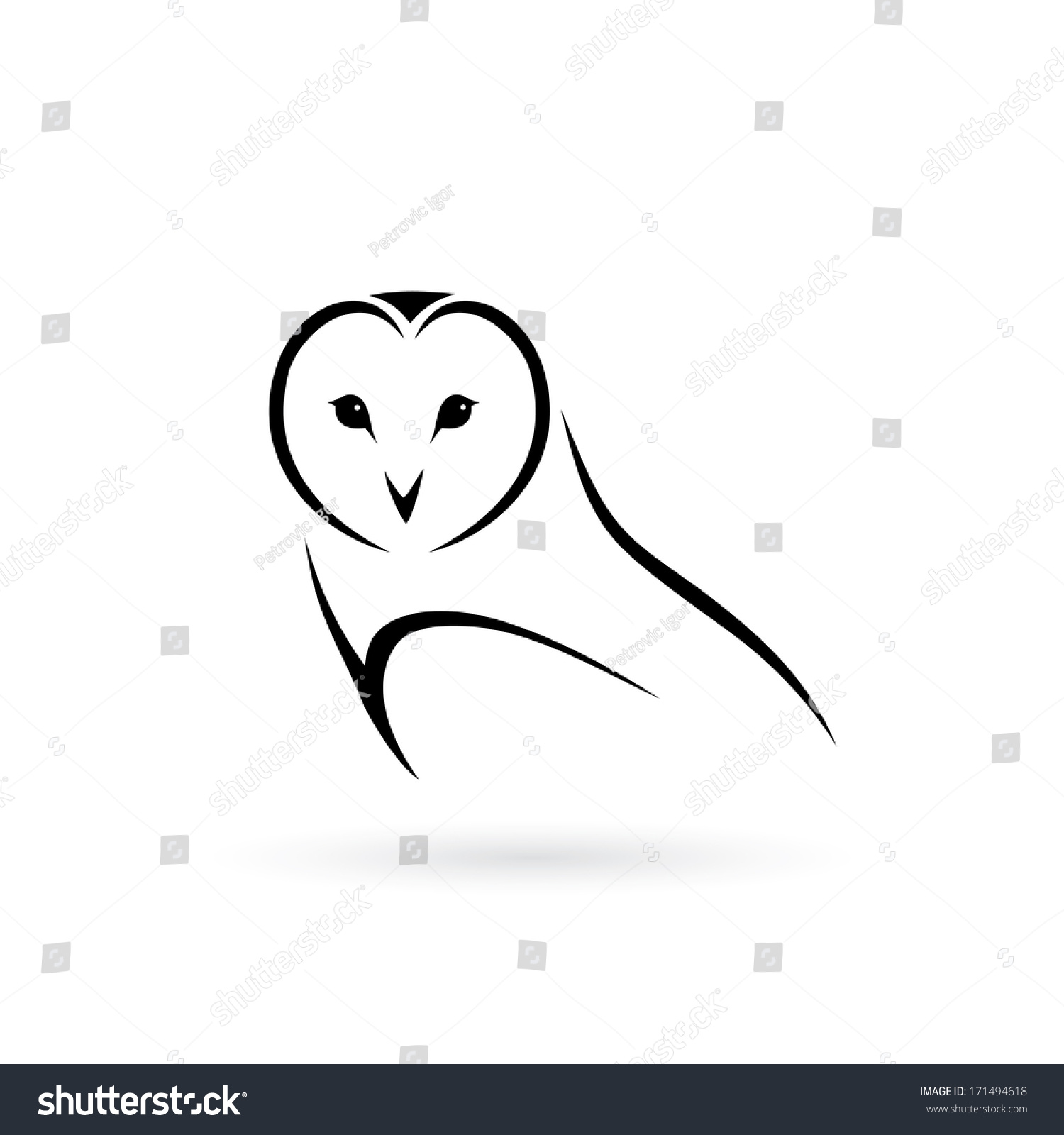 Barn Owl - Vector Illustration - 171494618 : Shutterstock