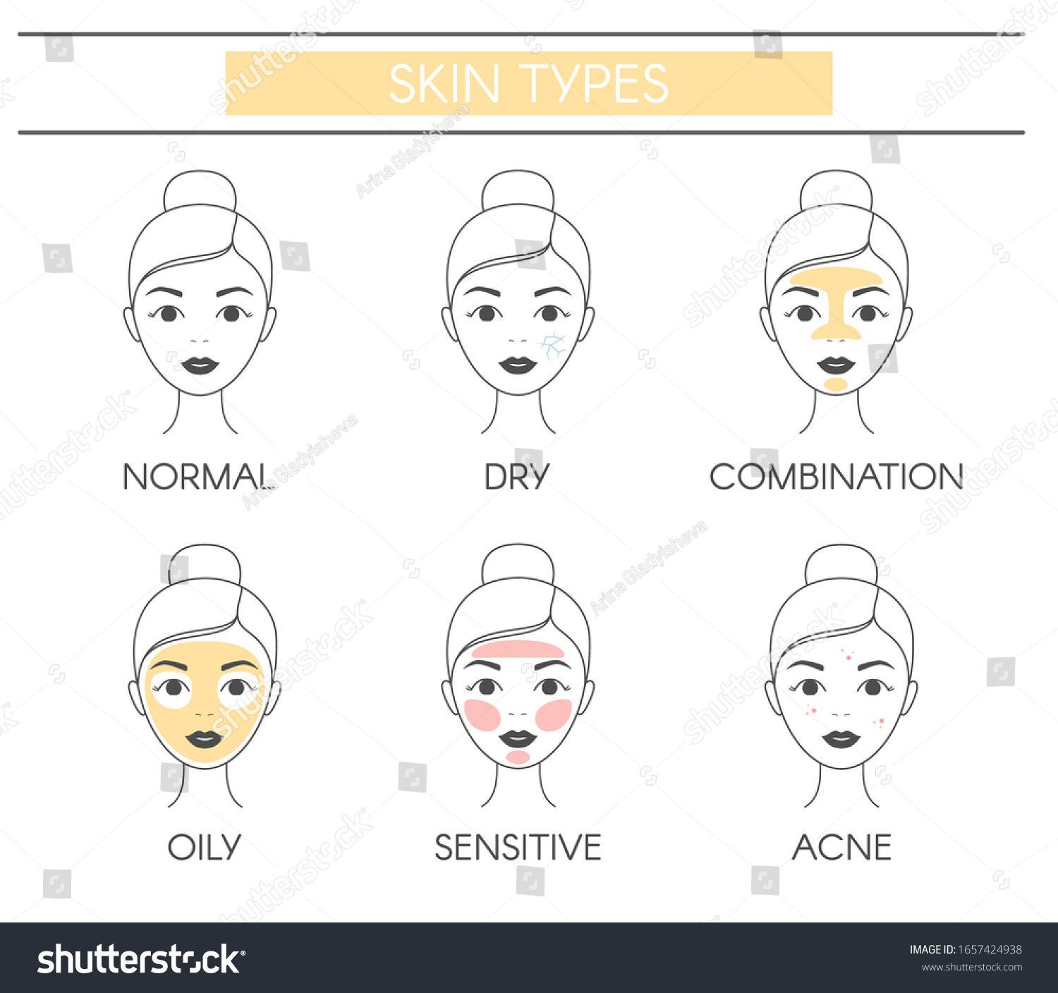 340 Combination skin type Images, Stock Photos & Vectors | Shutterstock