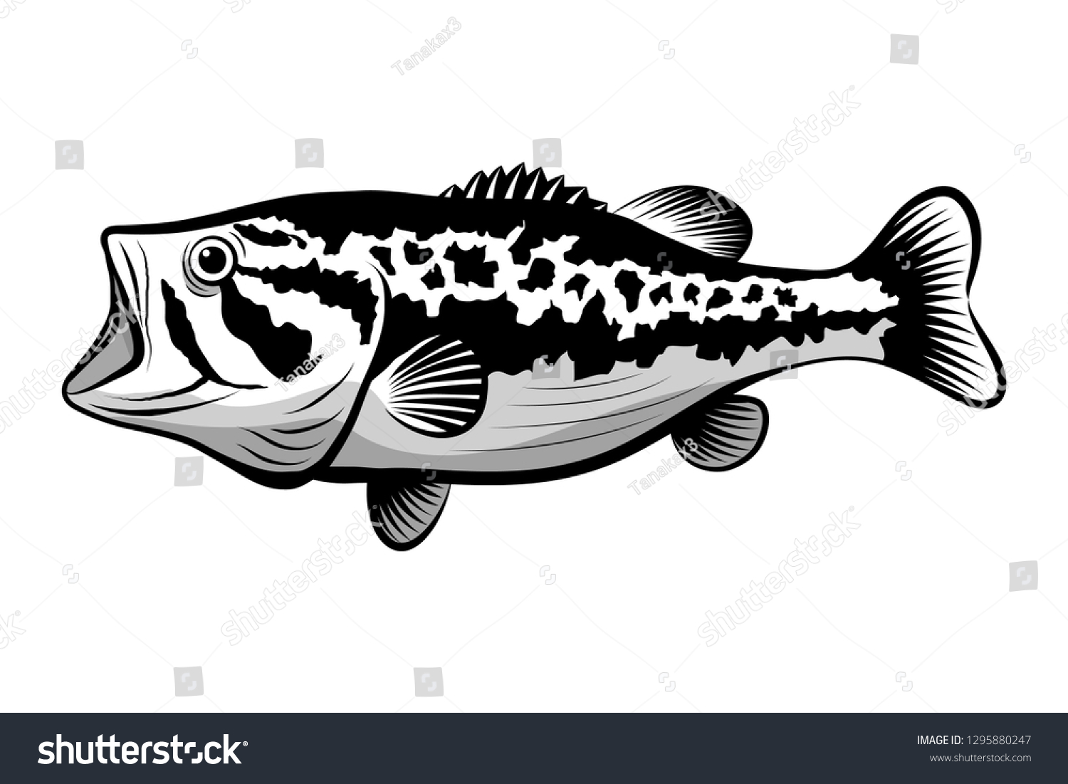 Bass Fish Line Drawing Style On Stock Vector (Royalty Free) 1295880247