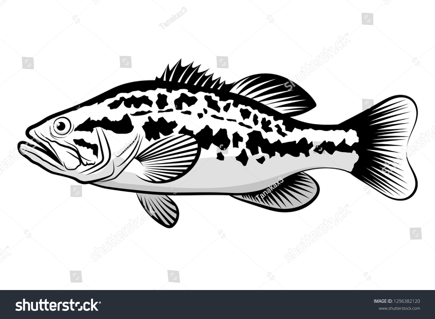 445 Crappie bass Images, Stock Photos & Vectors | Shutterstock